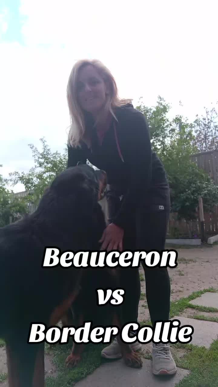 @Zelena Katalin :: Ame du Loup