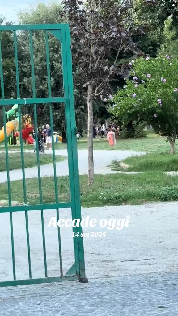 @Il_lavaggista_di_tiktok
