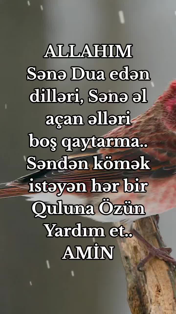 @DİNİM İSLAM