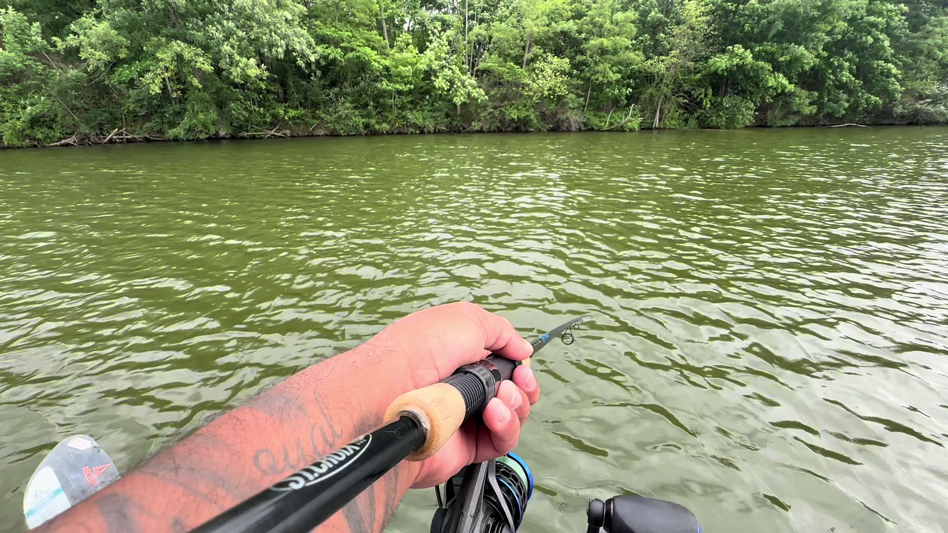 @BigBassFish