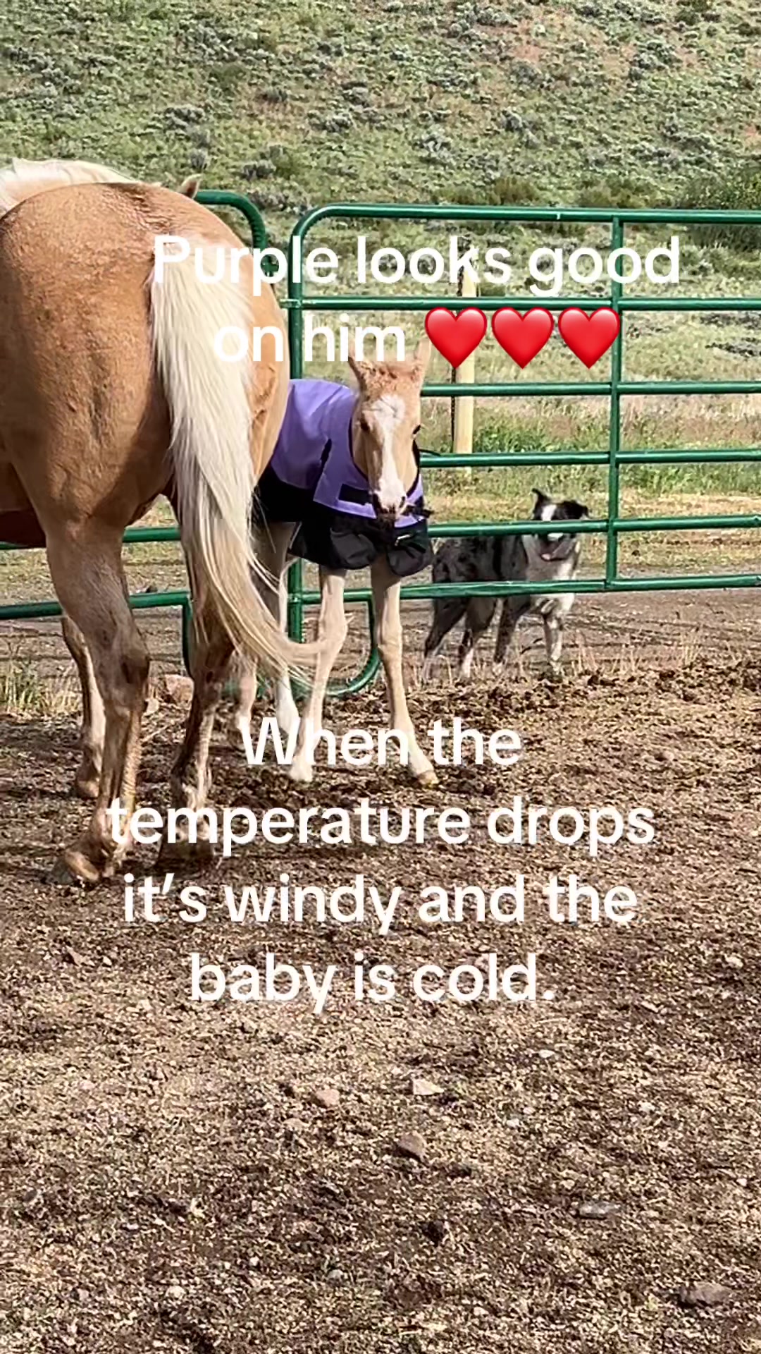 @Heidi
