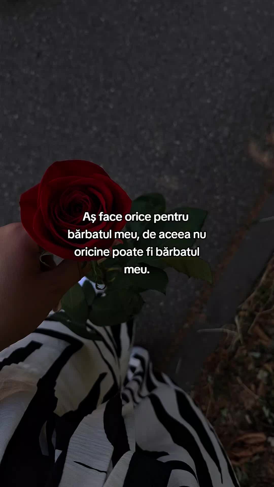 @Citate214🤍