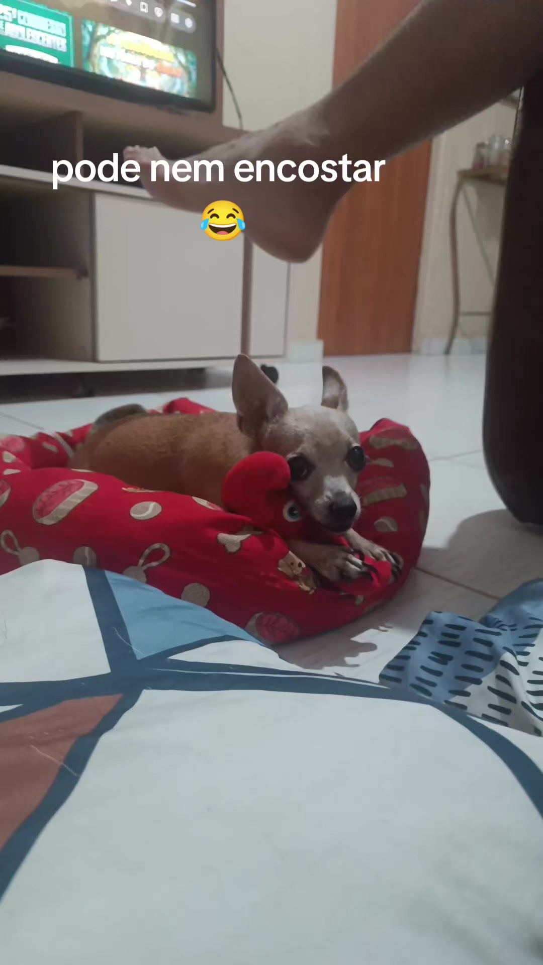 @princesa