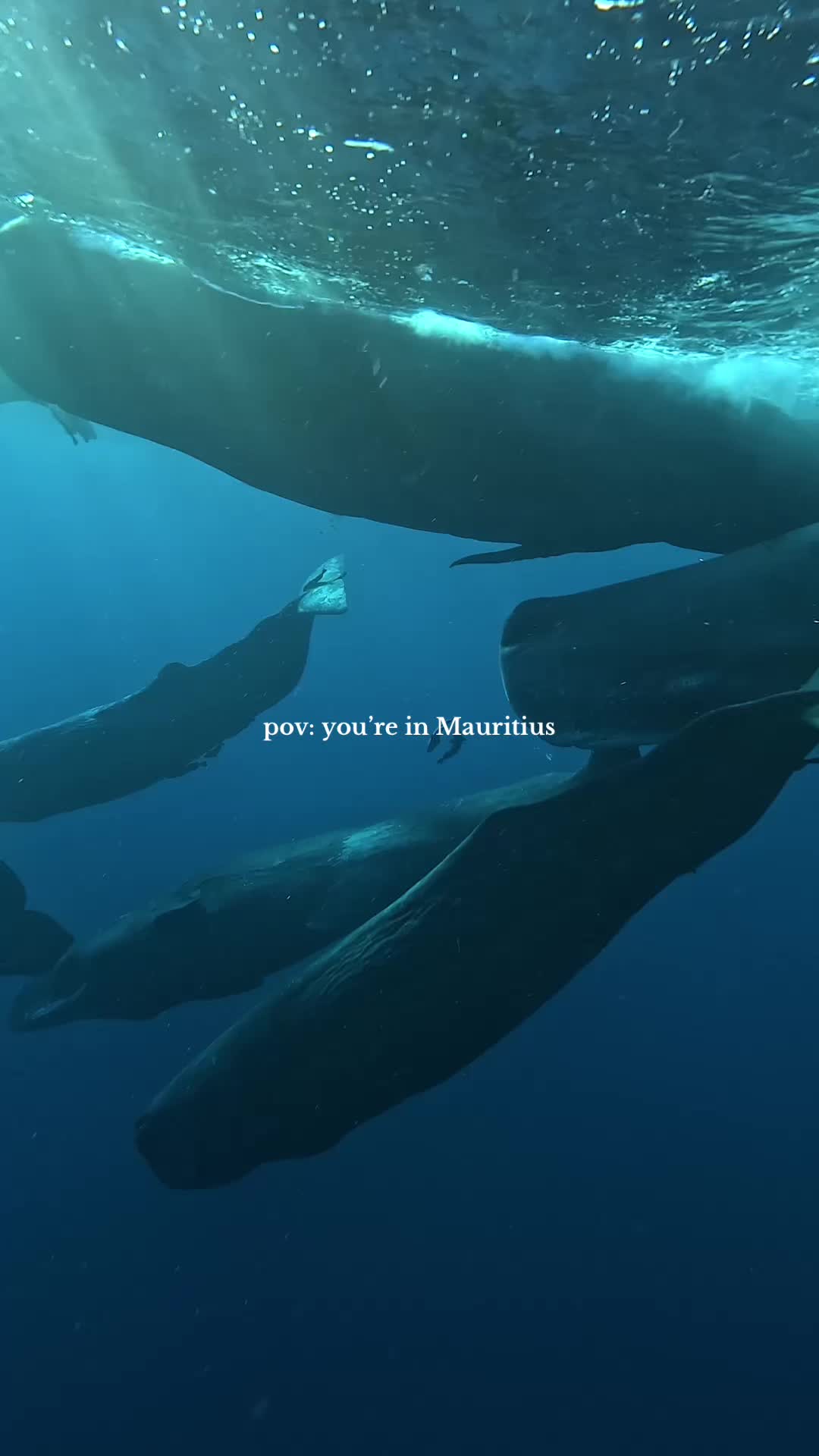 @Maria