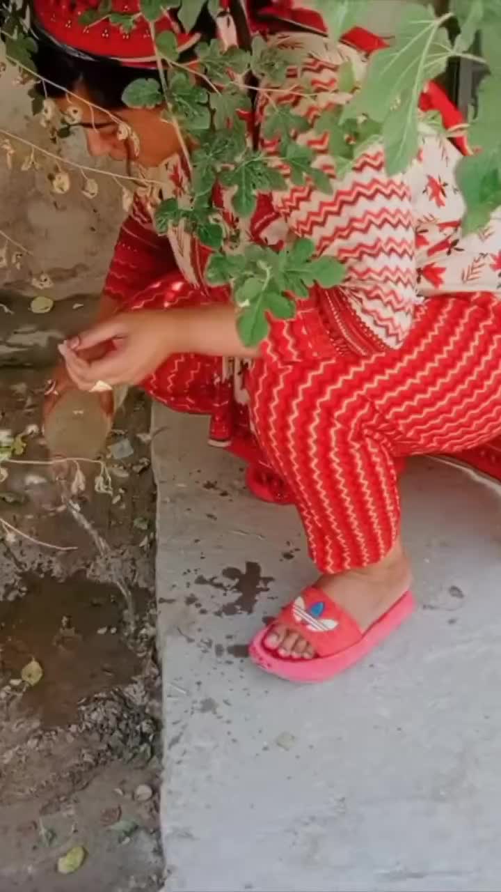 @Zainab Rajput