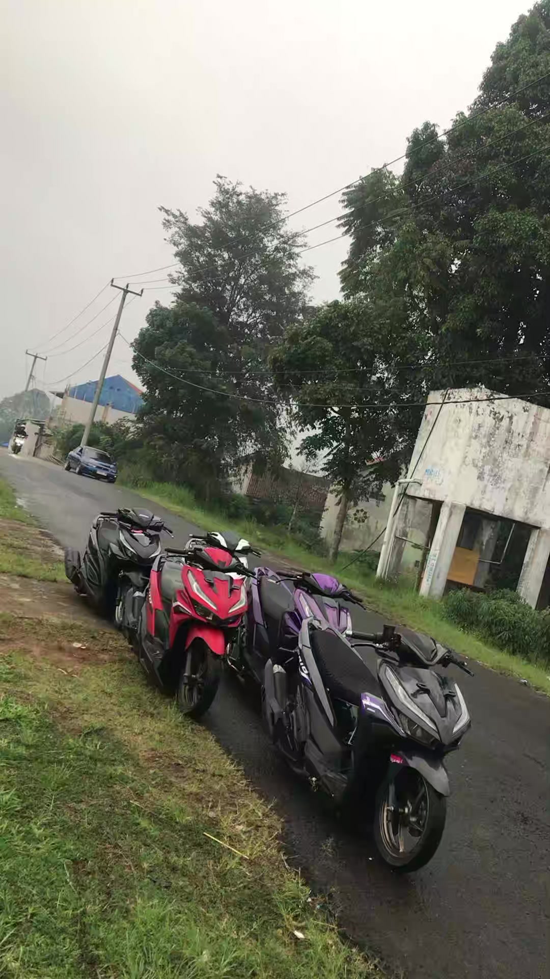 @Varsanz.Larensaa🇻🇳