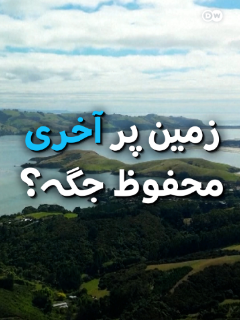 @DW Urdu