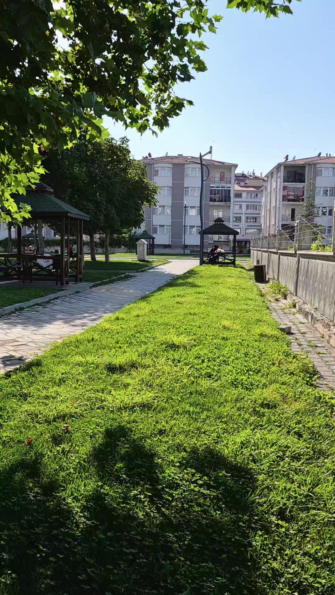@T&uuml;rkan Azra Nayci