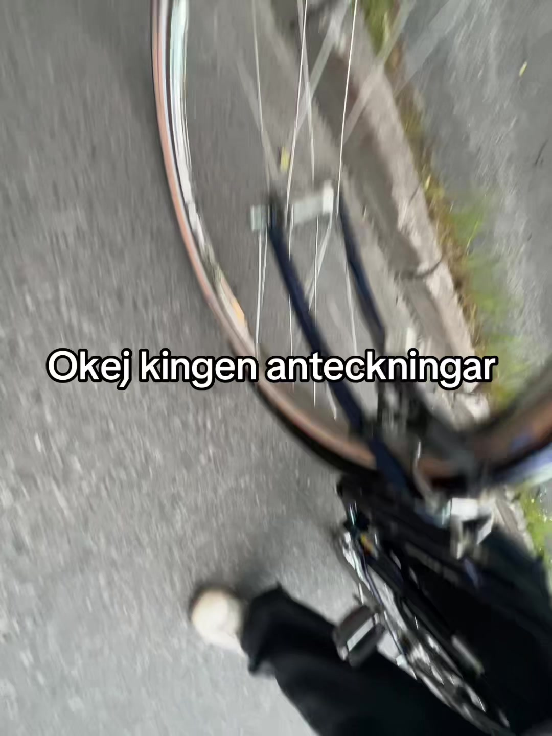 @DagnyLundberg