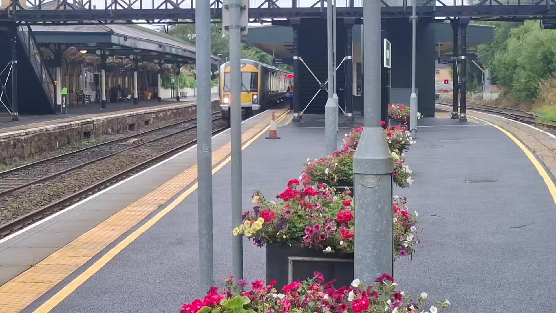 @level trains