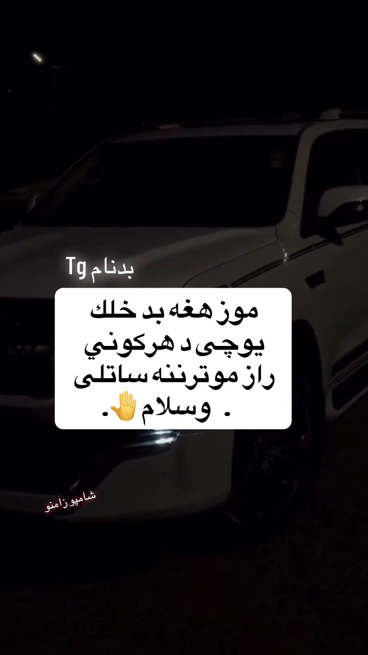 @safi.tg2026