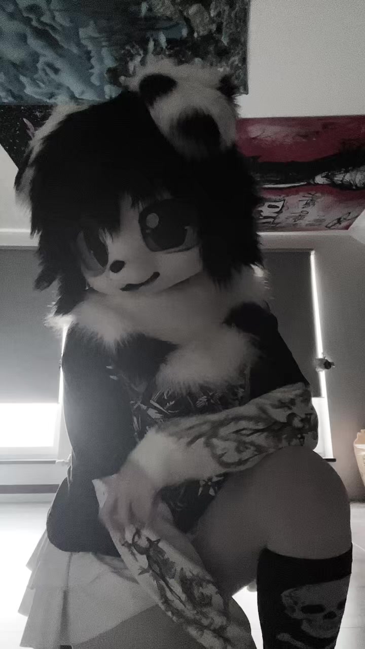 @🐾koddyyyyy🐾