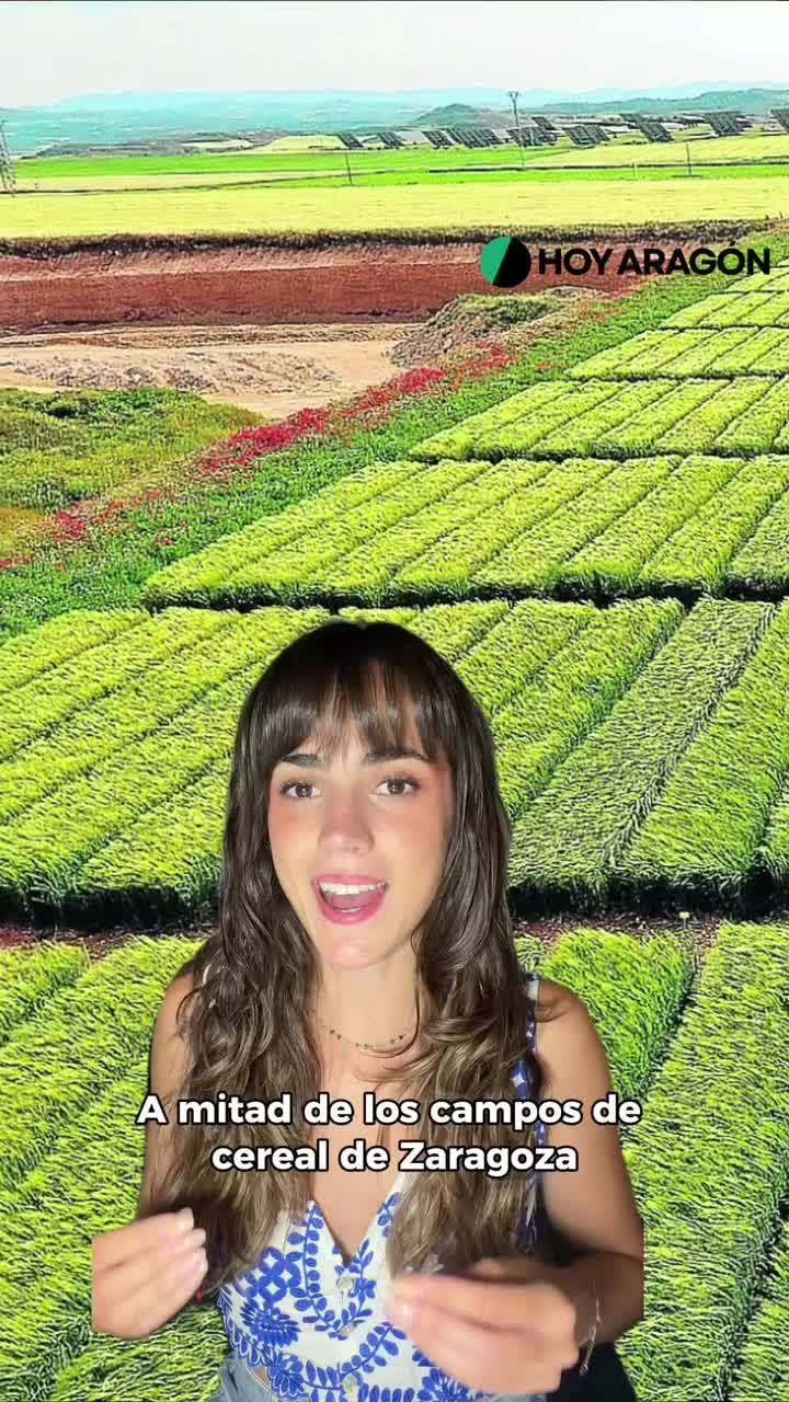 @HOY ARAGÓN - Noticias