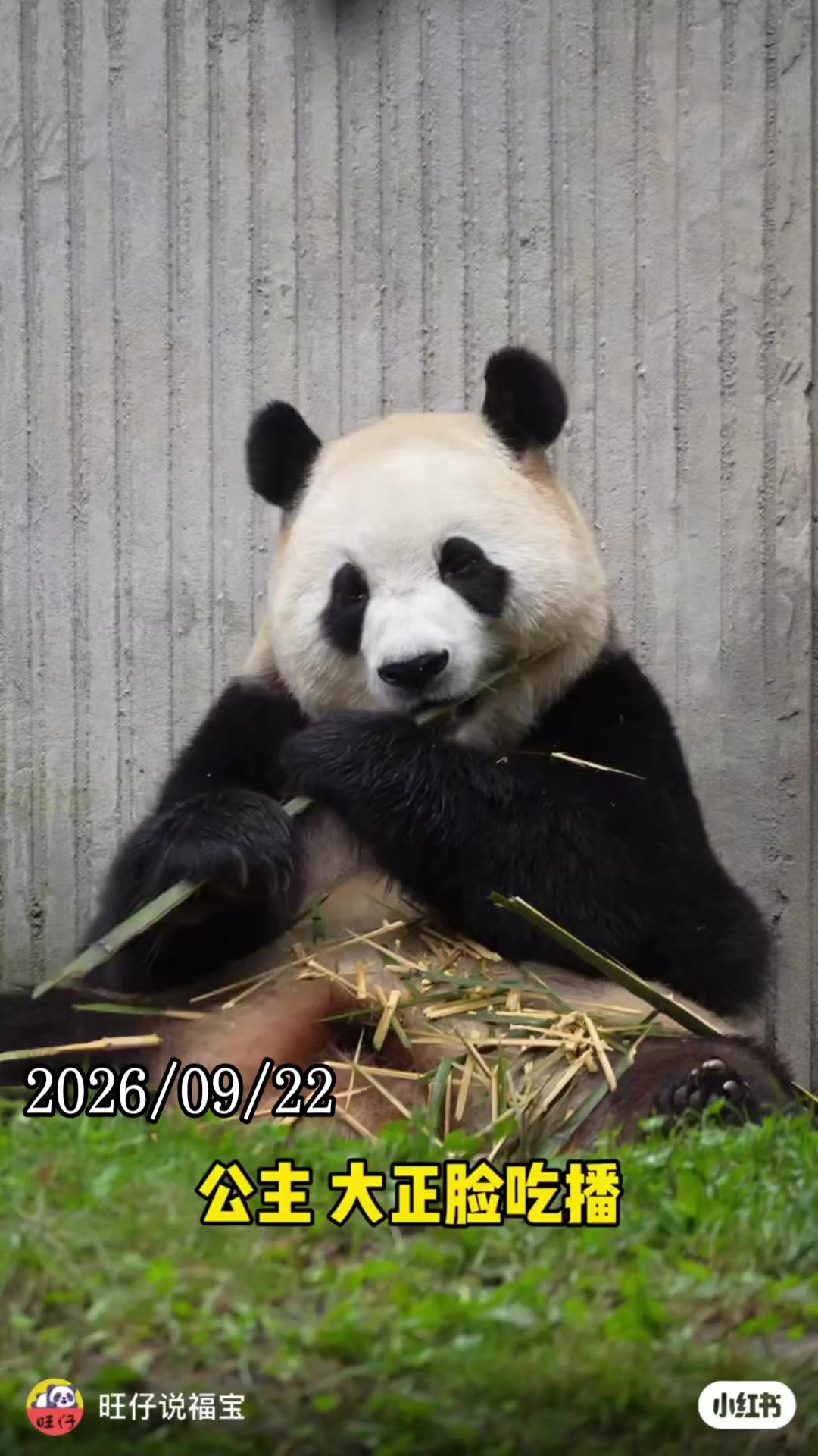 @福寶需要愛的抱抱