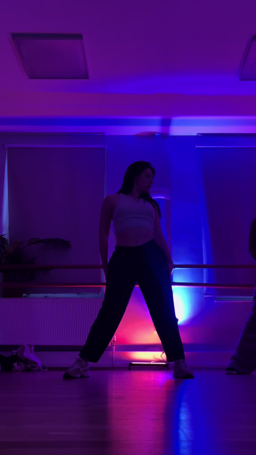 @holswilddance