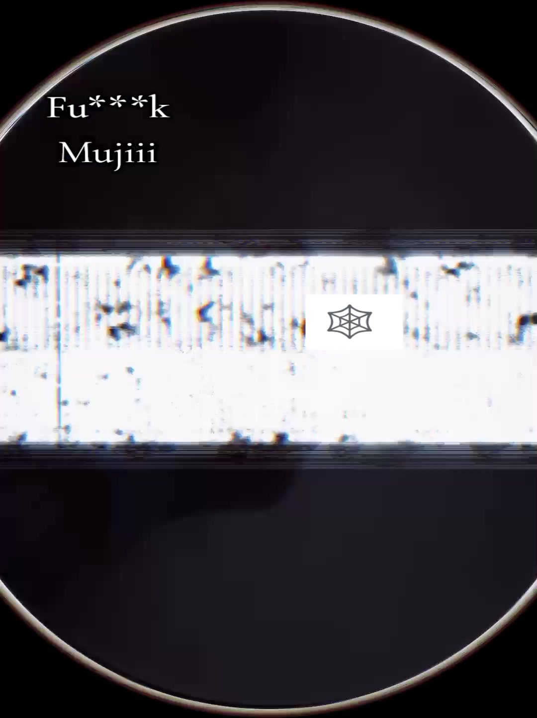 @KaZiii..... 🕸️