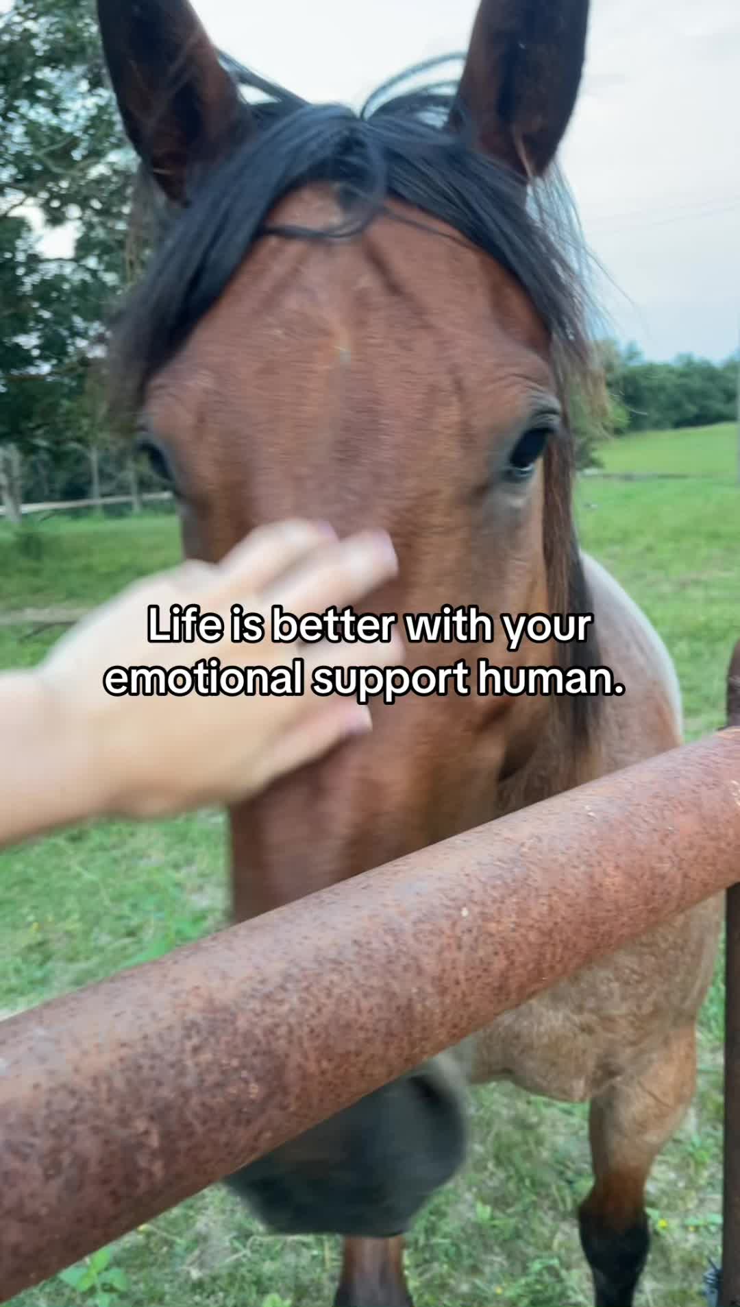@Jo-Mama