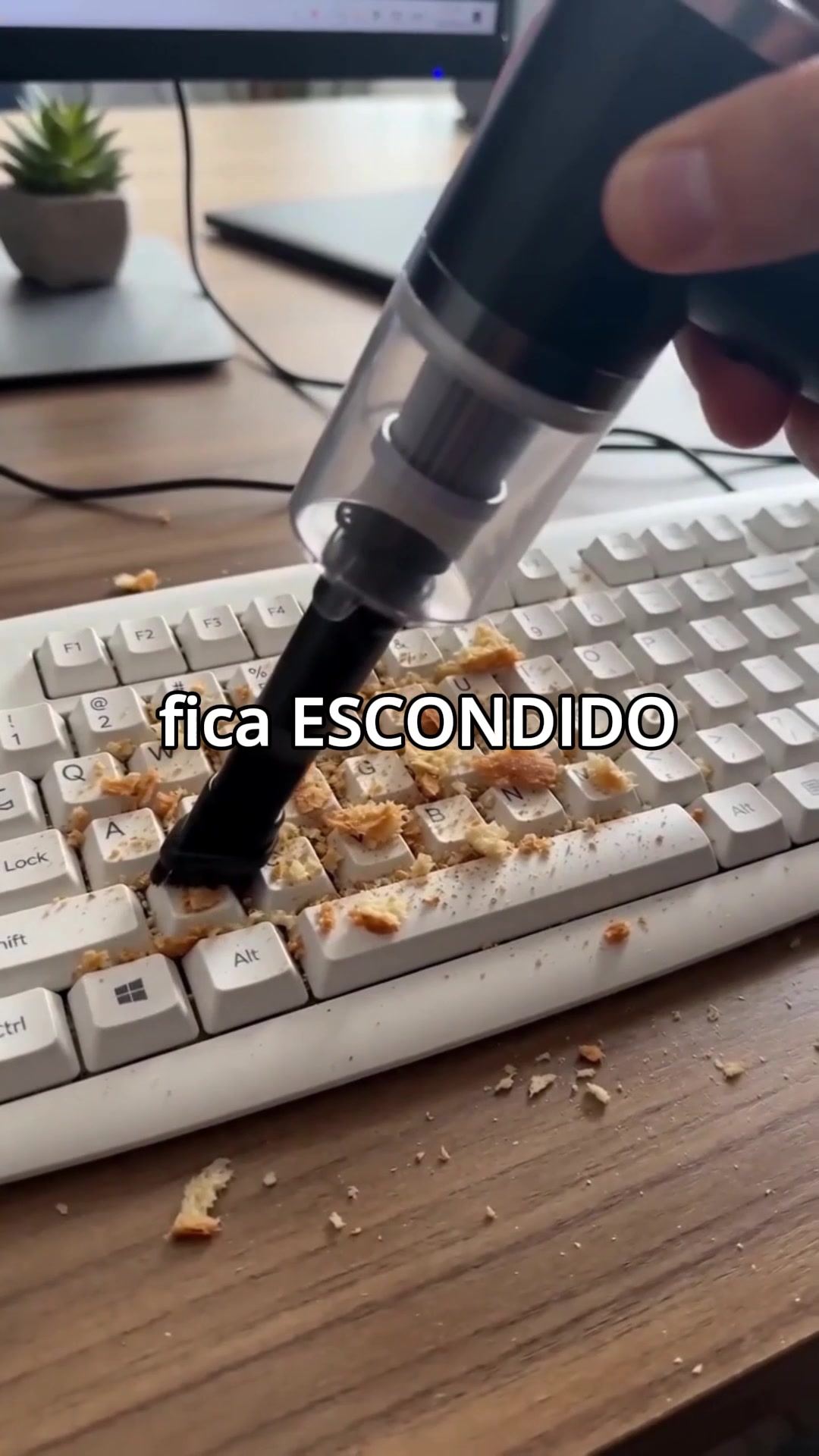 @Curiosidades Quânticas