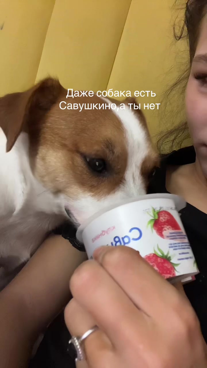 @Toryy339