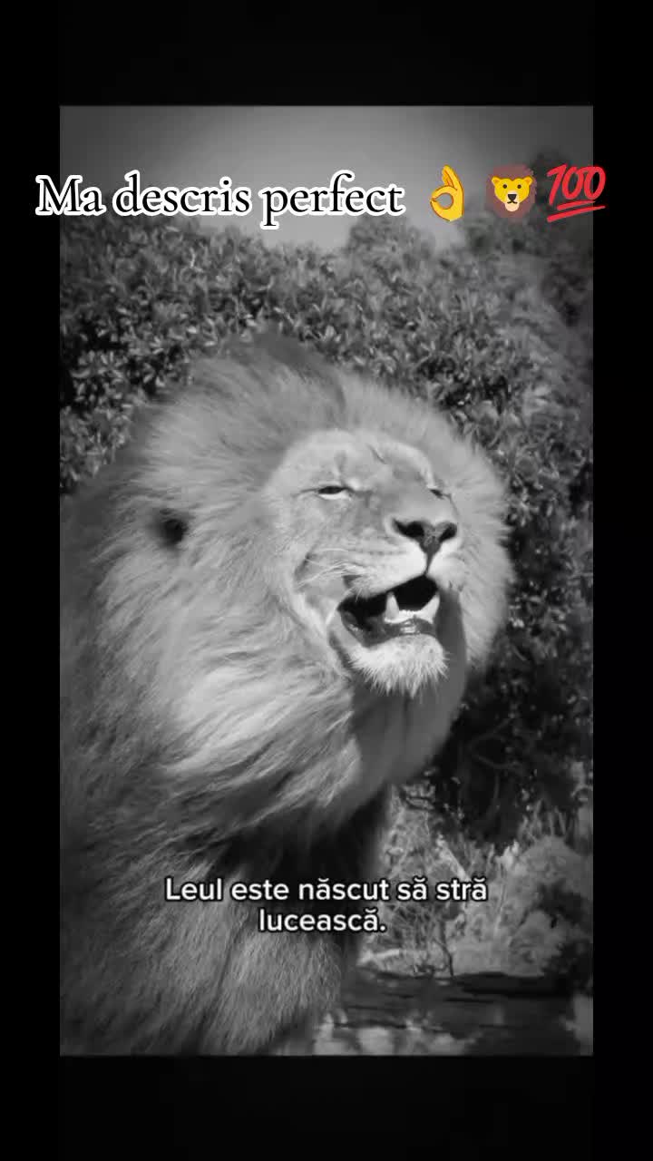 @👑 Lulu 👑