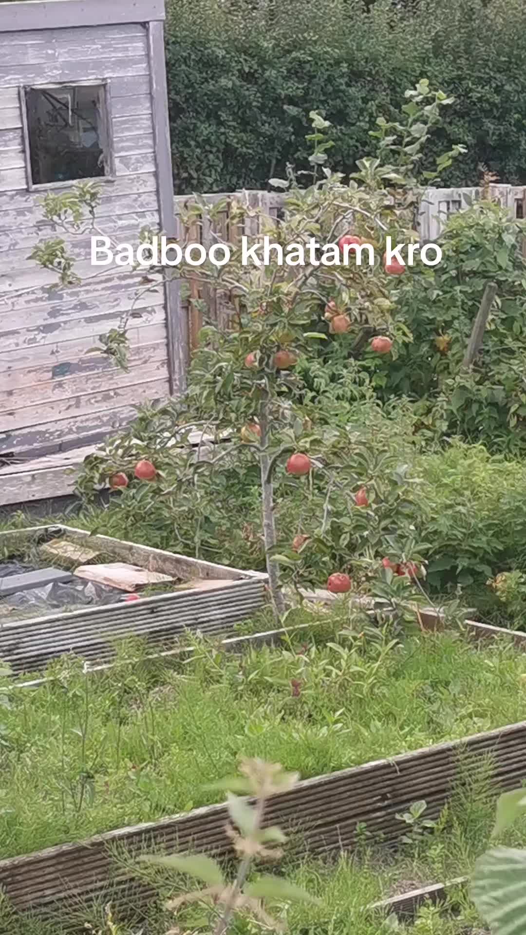 @Muhammad subhan uk