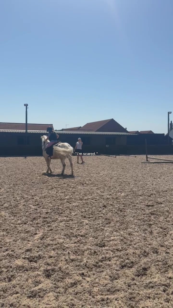 @LottiesHorseAdventures🦄🐴