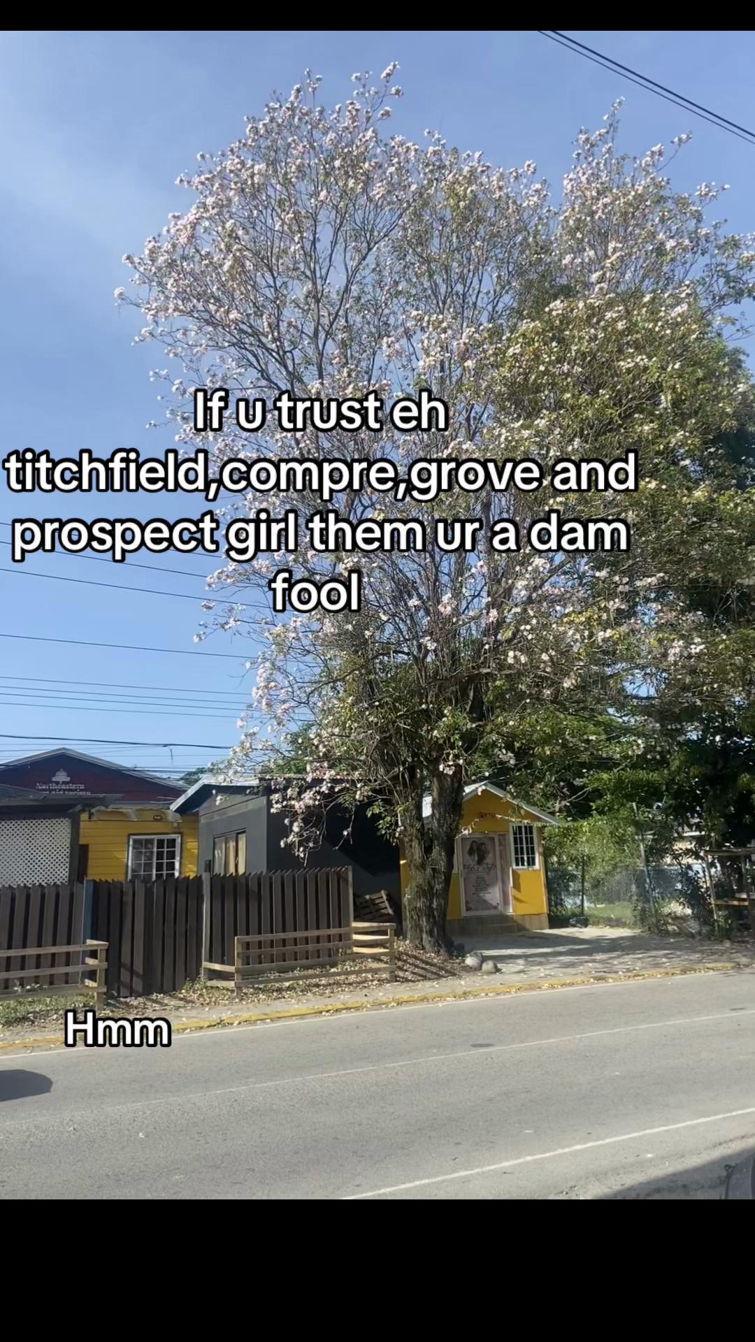 @ Sato