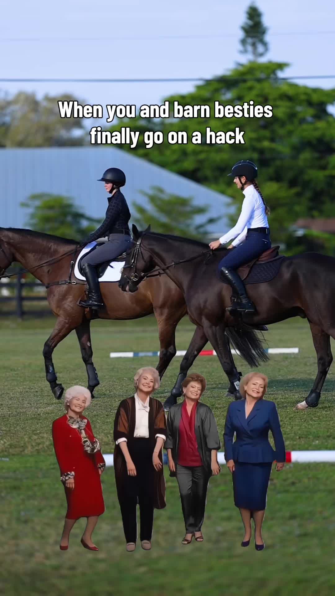 @Sync Equestrian