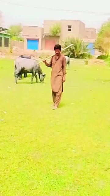 @سنڌي بادشاه 🚩