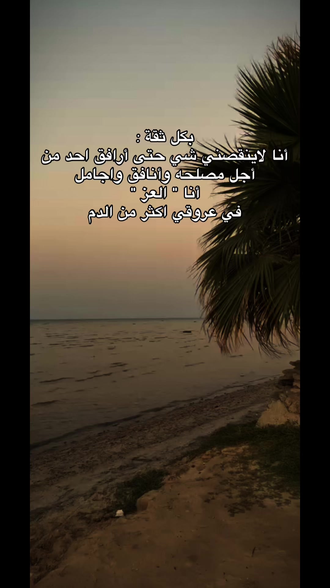 @🕊️❤️