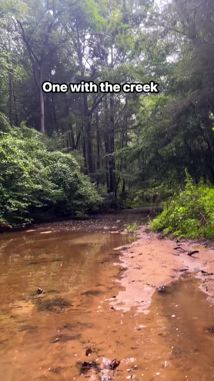 @DavetheNomad
