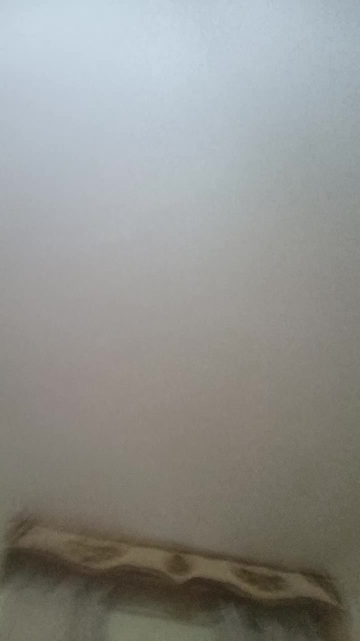 @emanuelaippolito7
