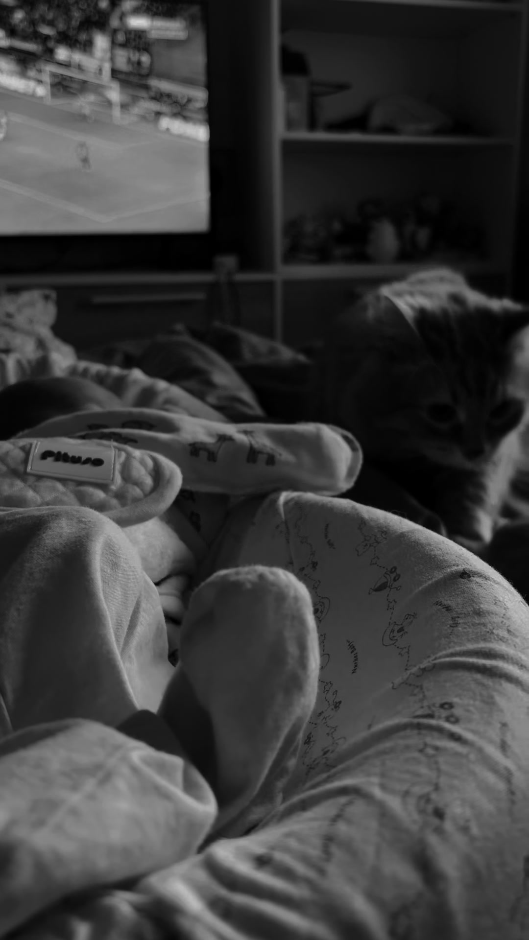 @🐈⬛