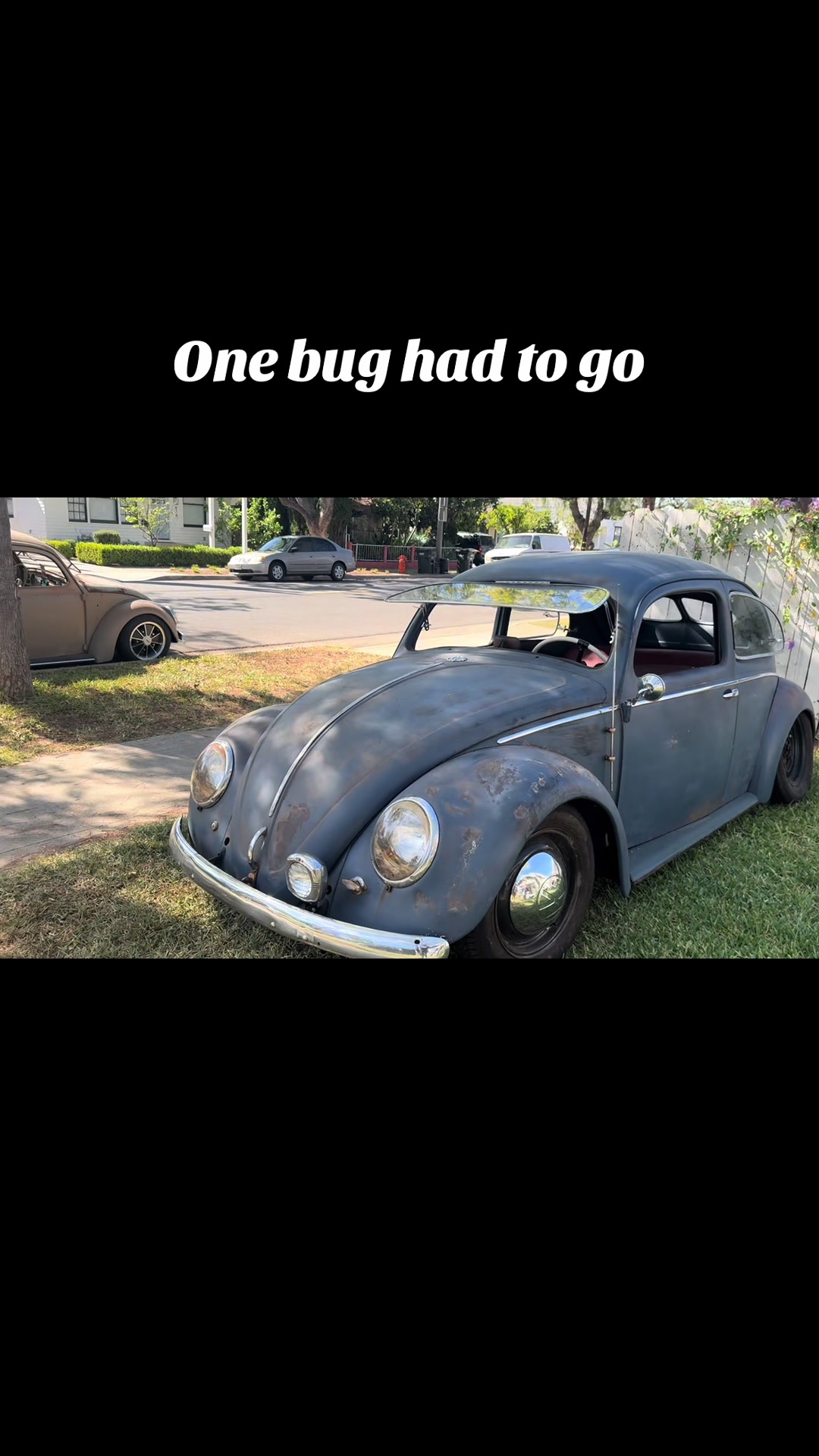 @Volkstag Revenge