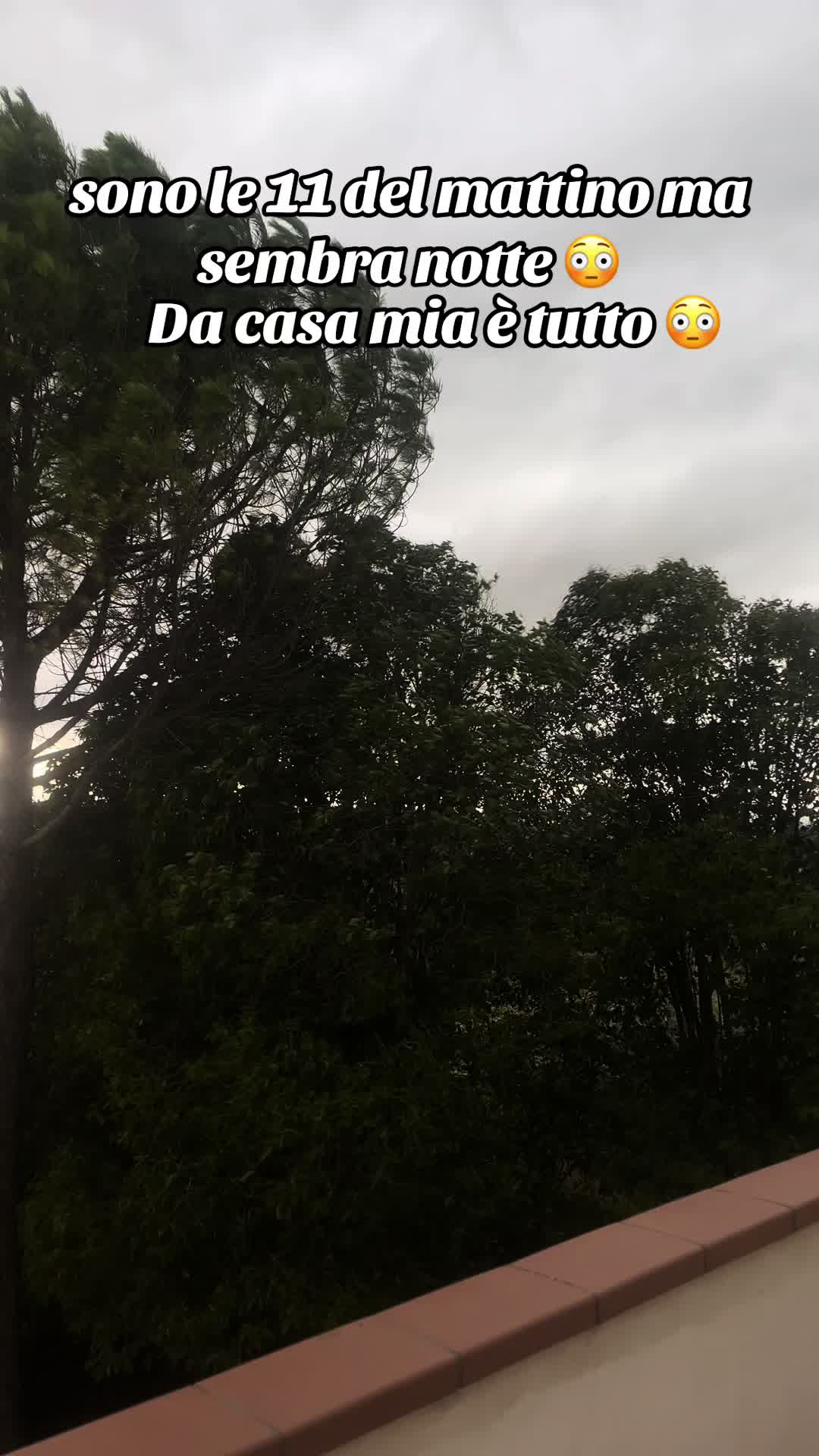 @PetyBordoni