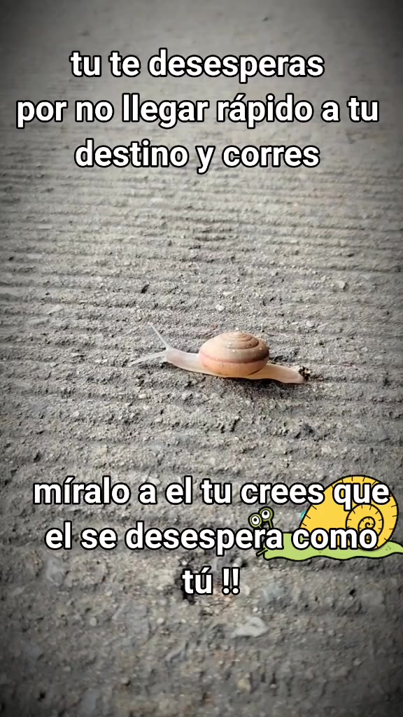 @PARLANCHIN_1968