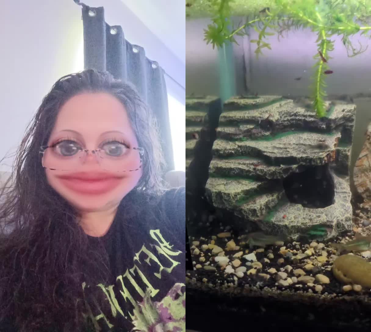 @MzFrosty