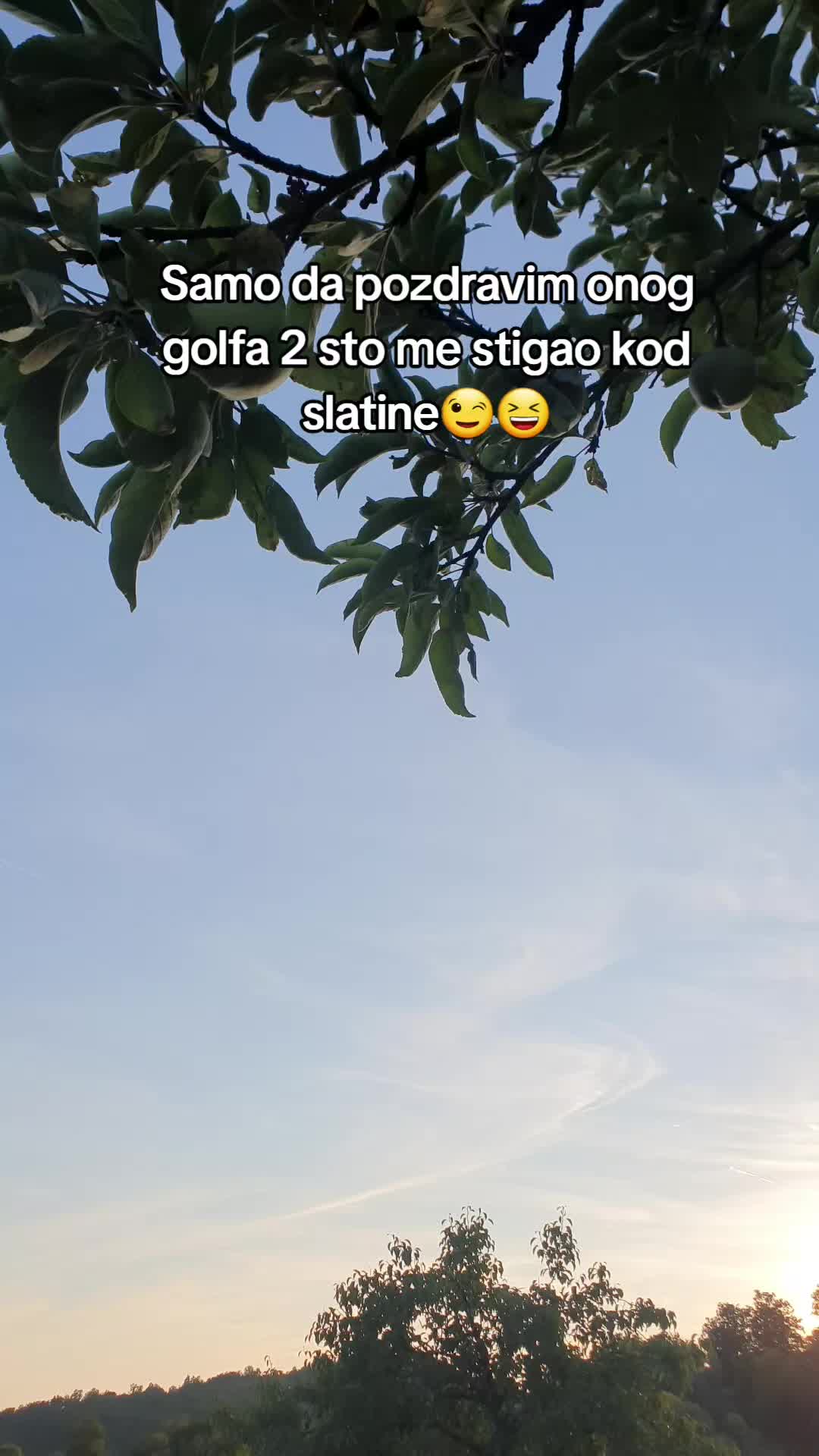 @Žuta Tica💛