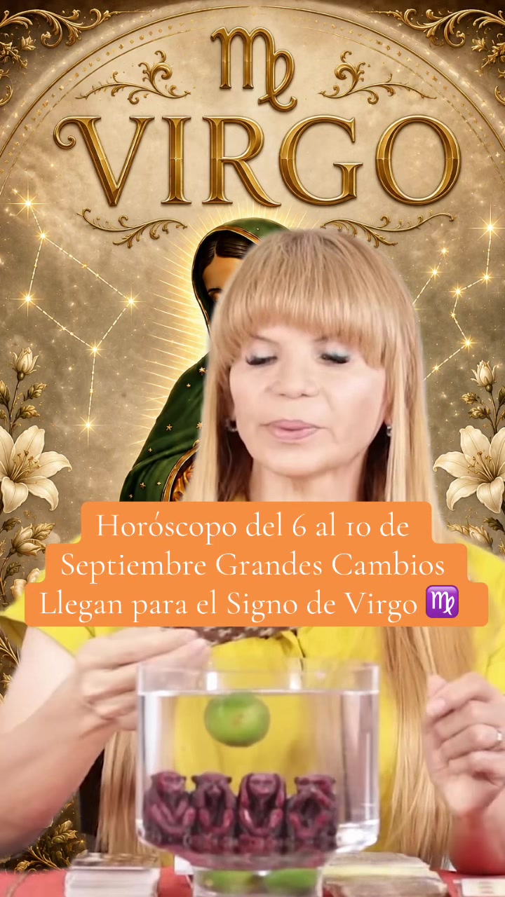 @✨ORÁCULO 13 ✨