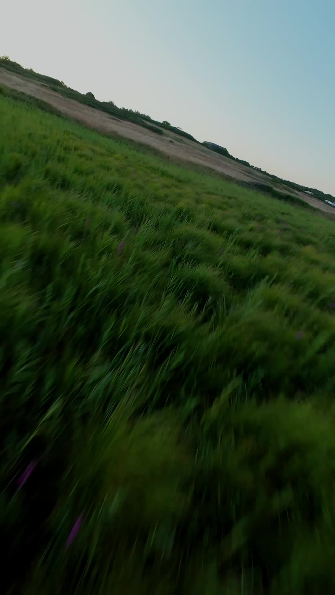 @Pixcar_bzh