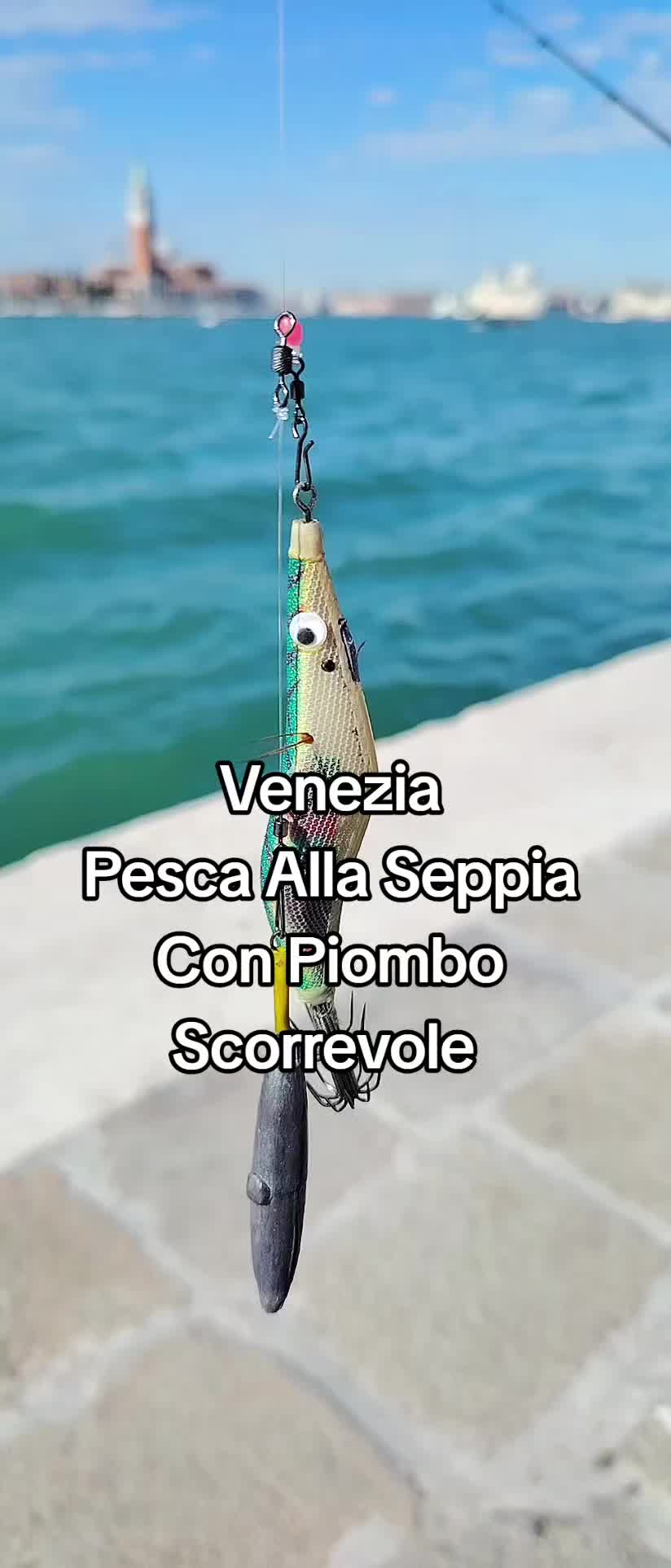 @🎣 maurizio 🇮🇹