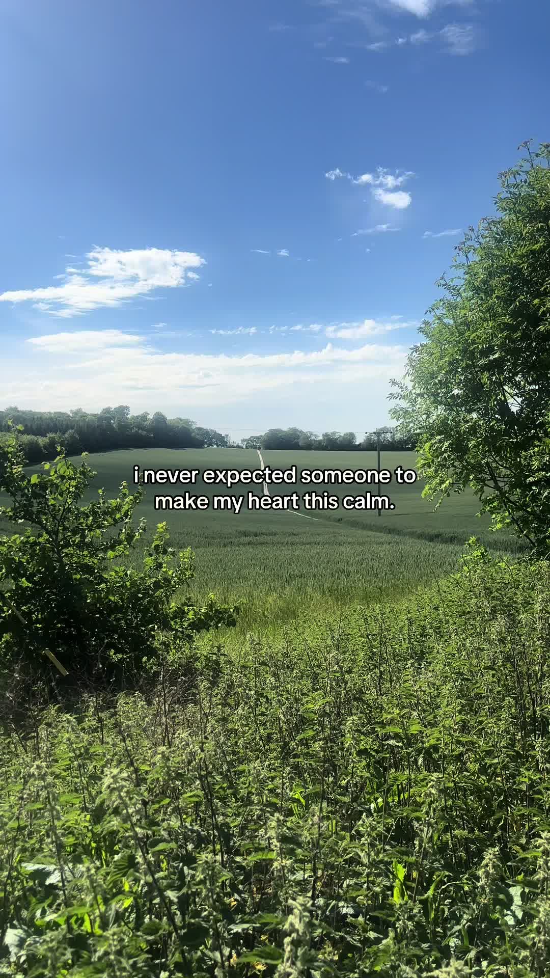 @MoOD.Words