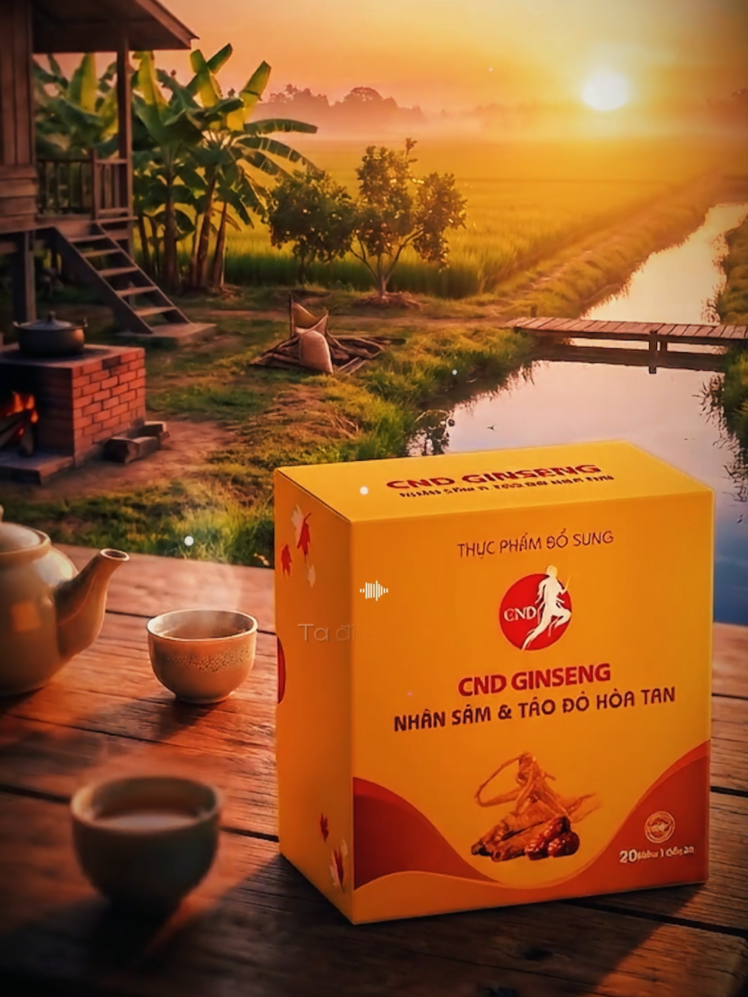 @CND GINSENG B&agrave; Rịa