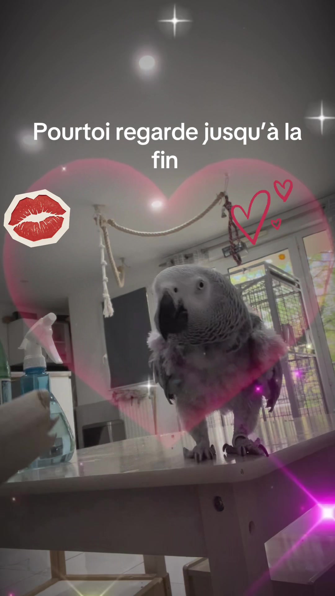 @Lamourdemondiego