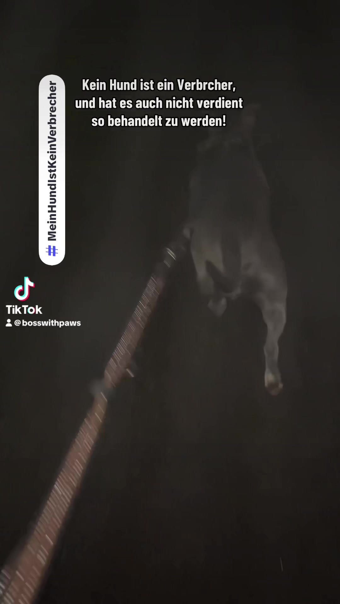 @MeinHundIstKeinVerbrecher
