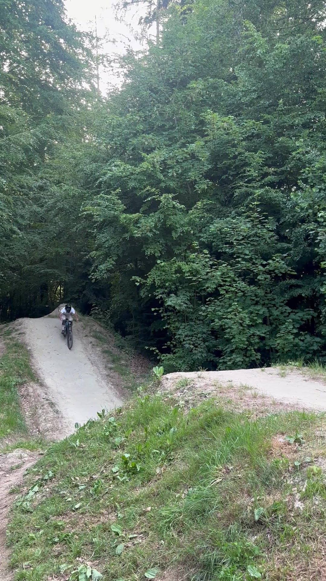 @freerider