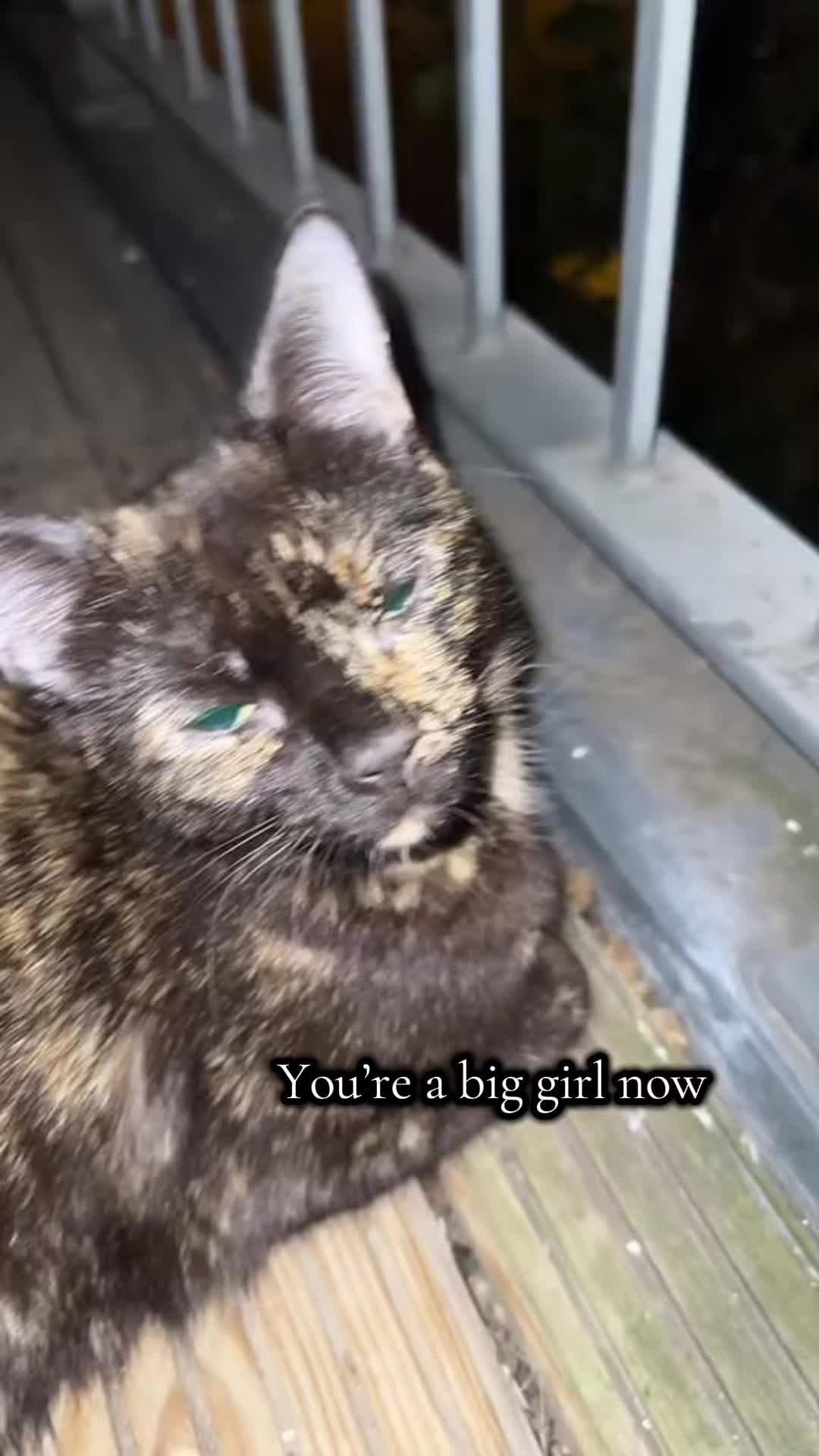 @Mya
