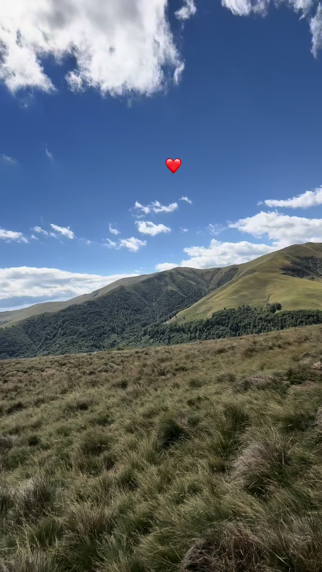 @Hellene🦋