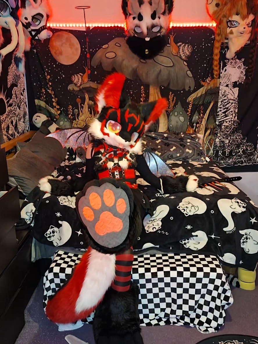 @Bailey (lilpixiekitten)