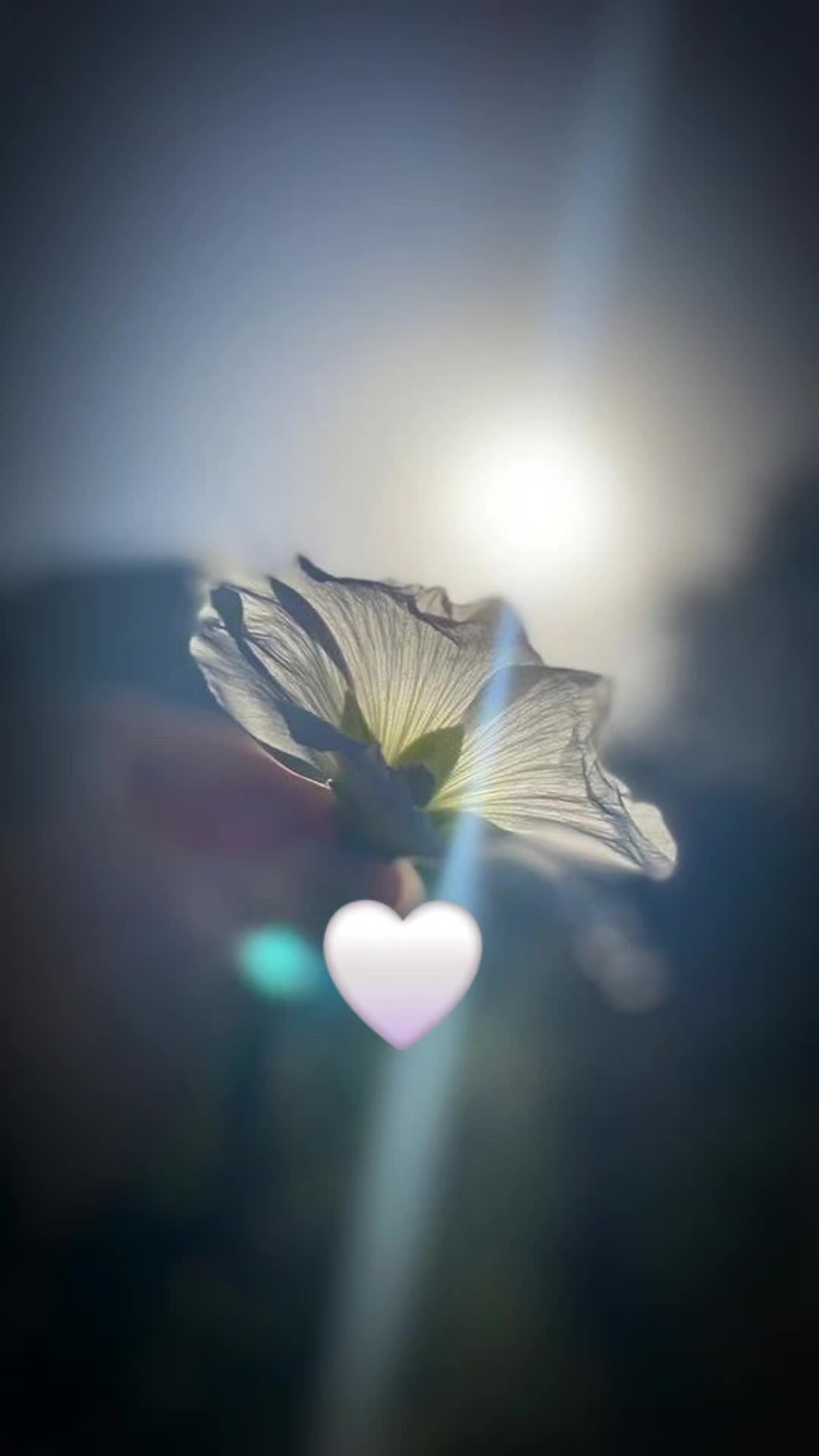 @❤️♡🅐🅝🅝🅨💮♡❤️